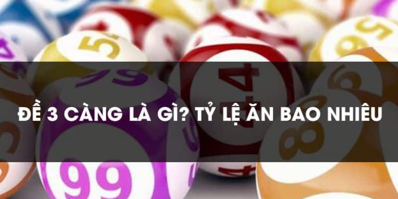 Lô 3 càng ăn bao nhiêu tại miền Trung cho anh em tham khảo