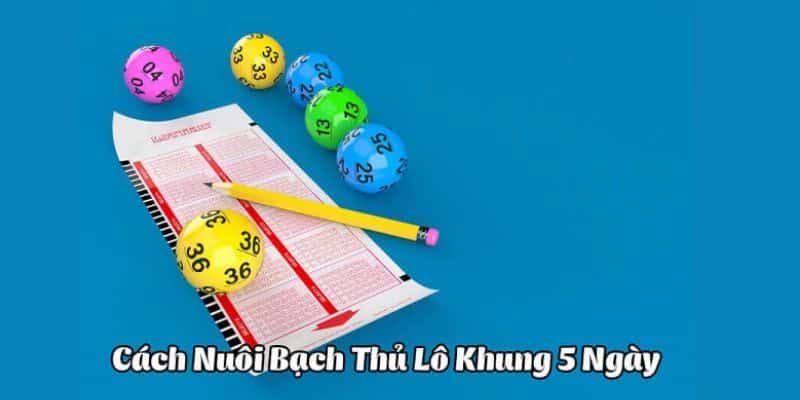 Khái niệm bạch thủ lô khung 5 ngày mà anh em nên biết