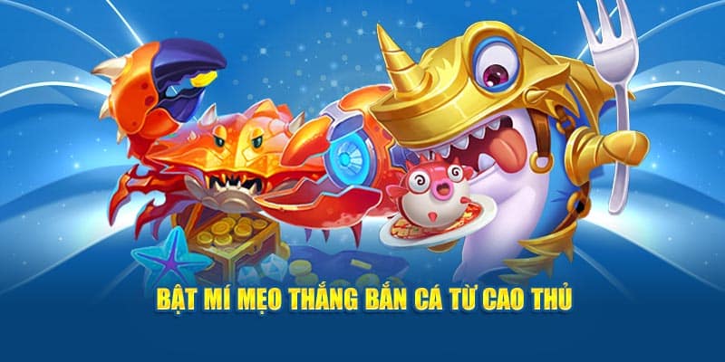 Bật mí mẹo thắng bắn cá từ cao thủ