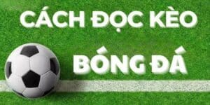 Cách đọc kèo bóng đá tại F8bet chuẩn xác cho người mới