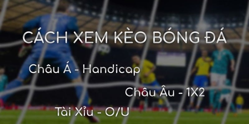 Cách đọc mức tỷ lệ thập phân của tài xỉu có sự tương đồng với cược chấp