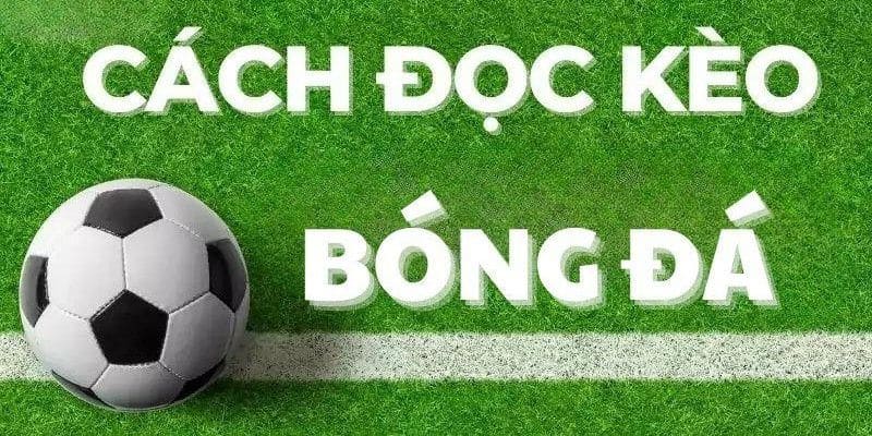 Cách đọc kèo bóng đá tại F8bet chuẩn xác cho người mới