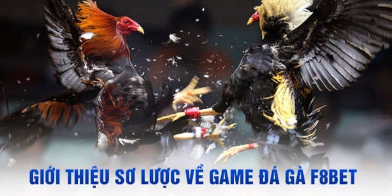 Giới thiệu đá gà F8bet