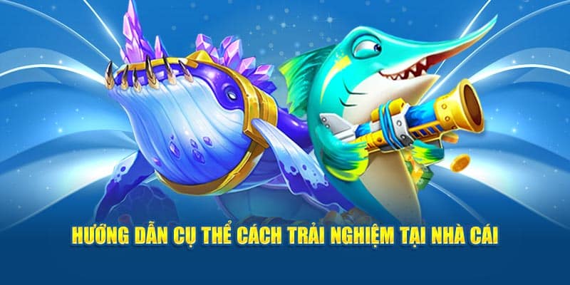 Hướng dẫn cụ thể cách trải nghiệm tại nhà cái