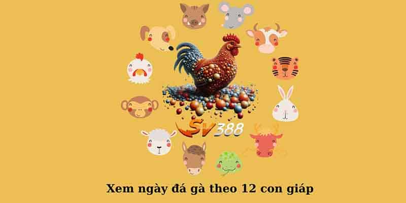 Xem màu mạng dựa trên 12 con giáp khá hữu ích
